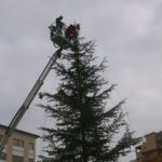 Agrigento, si addobba l’Albero di Natale