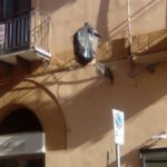 Agrigento: abitanti di via Atenea poco “chic” lanciano spazzatura dal proprio balcone di casa