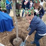 L’Istituto “Quasimodo” di Agrigento celebra la festa dell’albero