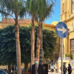 Agrigento, tre nuove palme a Piazza Pirandello