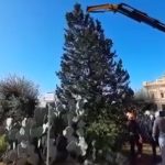 Agrigento, in piazza Stazione arriva l’Albero di Natale – VIDEO