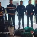 Palma di Montechiaro: sequestrati dalla Guardia Costiera di Licata e dalla Polizia di Stato 1.500 esemplari di ricci di mare e diverse attrezzature subacquee