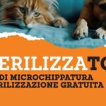 Arriva in Sicilia lo SterilizzaTour 2024 di LAV